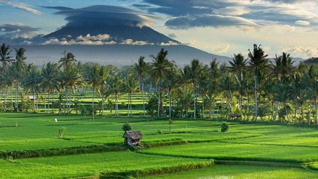 The air in Bali felt markedly cleaner, and easier to breathe, than that in Jakarta.
