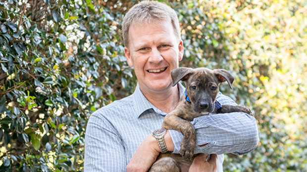 RSPCA chief executive Darren Maier says the number of injured animals is making the need for a new wildlife hospital in south-east Queensland pressing. 