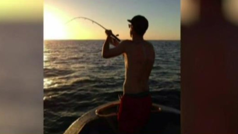 WA news LIVE: ‘Shark culling doesn’t work’: WA government ac