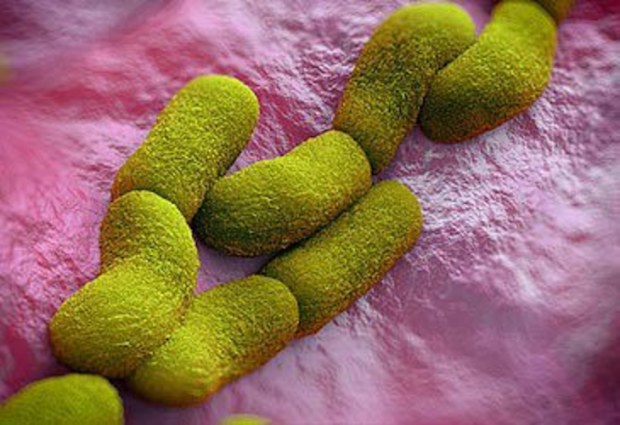 3D rendering of Yersinia pestis bacterium (Peddalanka Ramesh Babu/iStock)