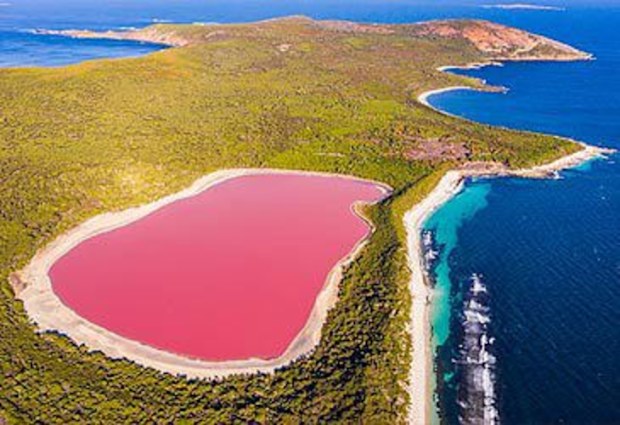 Lake Hillier in Western Australia is a pink lake