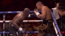 Daniel Dubois looper