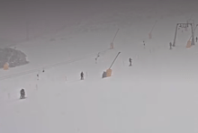 A man has died after the car he was a passenger in was hit by a tree which fell near an Aussie ski resort.