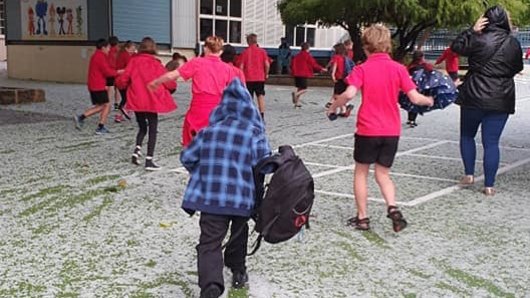 Mosman Park School covered in 'snow'.