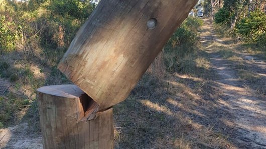 Police are investigating "reckless vandals" who took a chainsaw to power poles in Sydney's north. 