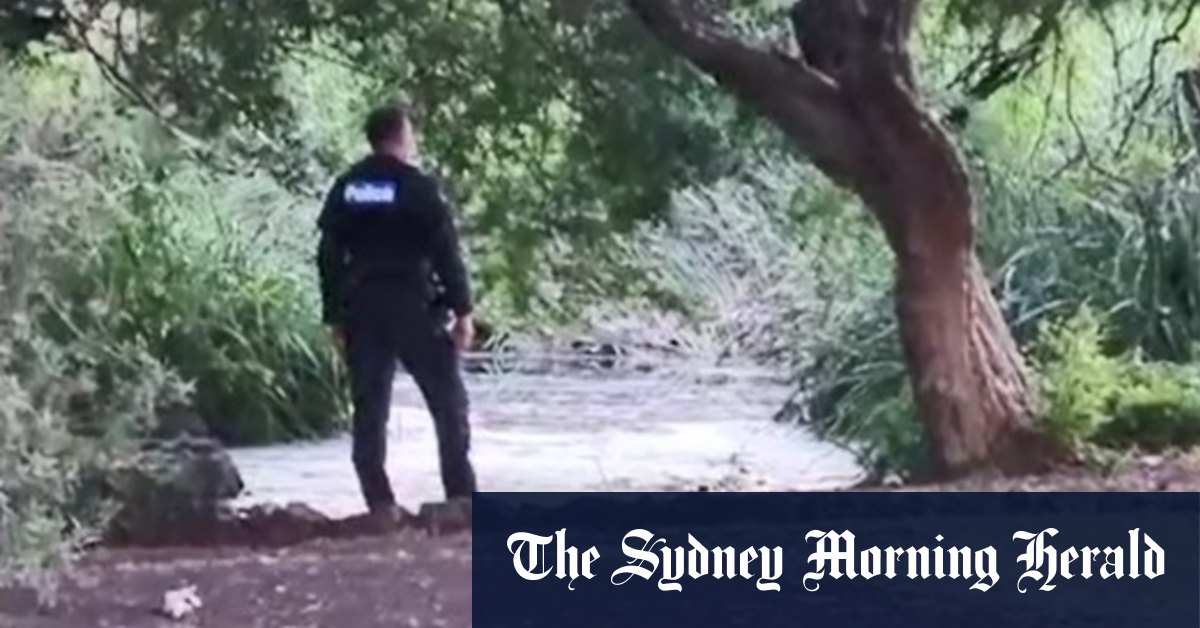 Toddler dies three days after being pulled from park pond - Vimarsana News