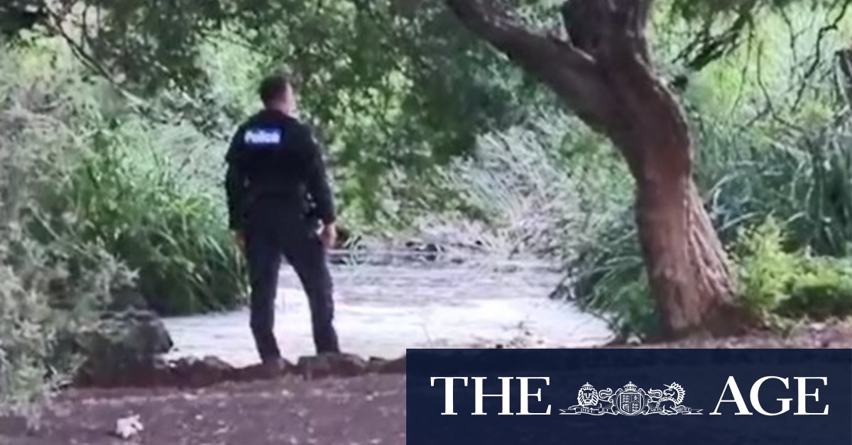 Toddler dies three days after being pulled from park pond - Vimarsana News