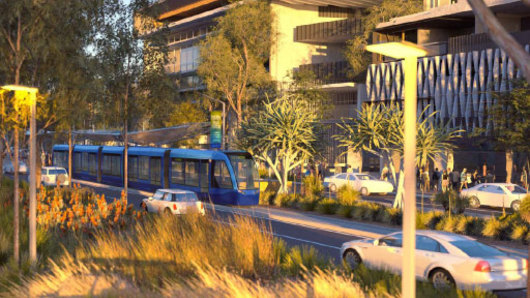 Sunshine Coast residents will not know until mid-2025 whether their public transport spine between Maroochydore and Caloundra will be light rail - like that in the Gold Coast - or rubber-tyred buses like Brisbane’s Metro.