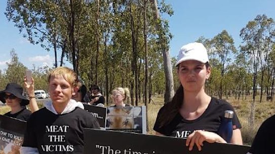 Animal Activist Collective last month entered a southern Queensland feedlot unlawfully.