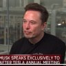 ‘Laptop class in la-la land’: Elon Musk lashes work from home, calls it morally dubious