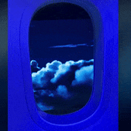 Trump, turbulence and travel: Are US skies still safe?