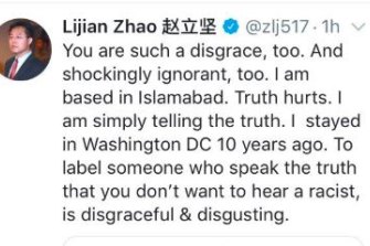 An image of Lijian Zhao's tweet.