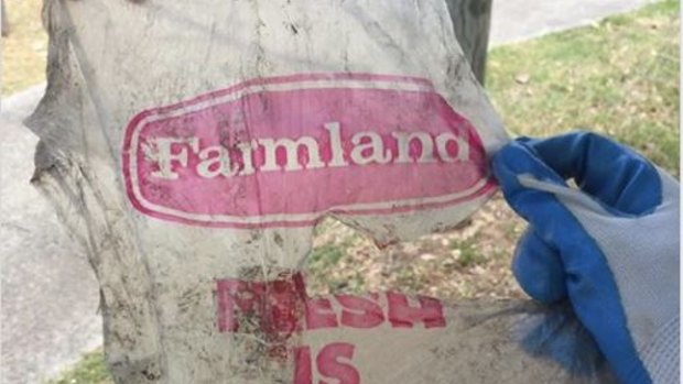 A Coles home-brand plastic bag which is 48 years old found in a Brisbane waterway.