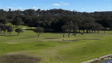 Pilot praised for quick thinking before Sydney golf course crash