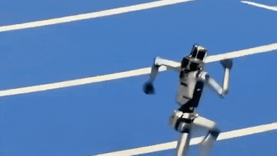 Rekorlar kırılıyor ve robotlar da Çin'in insansı Olimpiyatları'nda devriliyor