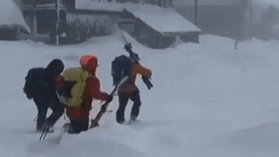 Tahoe avalanche kills eight skiers