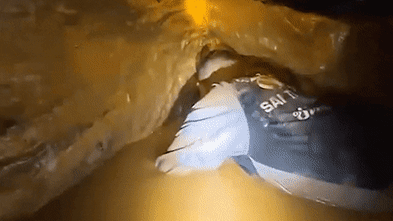 The Reality of the Laos Cave Rescue Operations That Explains Why Saving Trapped Divers Takes So Long