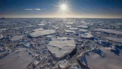 Strategic updates regarding In the Trump era of America first, scientists fear for the future of Antarctica