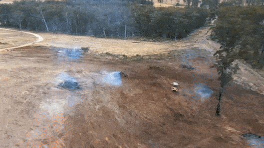 ‘Perverse outcomes’: NSW a deforestation hotspot on par with Indonesia