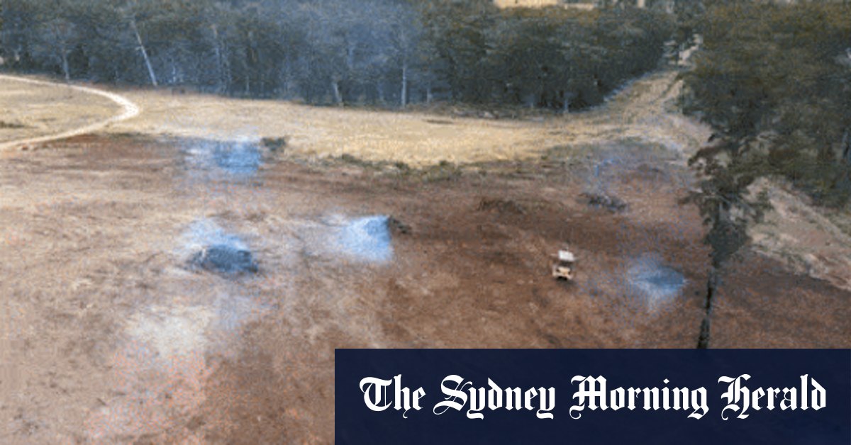 ‘Perverse outcomes’: NSW a deforestation hotspot on par with Indonesia