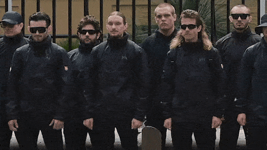 How neo-Nazis slipped the net and used NSW parliament for their vile ends