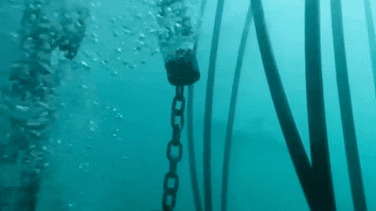 ‘Tear gas for sharks’: Non-lethal barriers proposed for Australian beaches