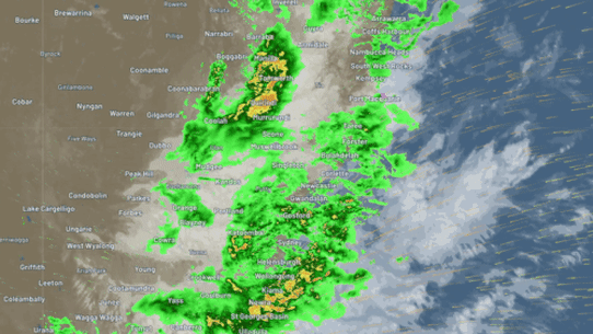Sydney expecting up to 80mm rain on Thursday as wettest August in 27 years continues.