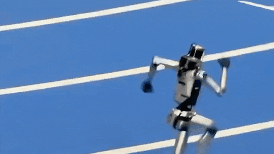 Il robot umanoide si schianta contro la barriera di sicurezza alle Olimpiadi dei robot.