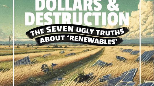 ‘Copied the MAGA model’: The ‘grassroots’ lobby group funded by some of Australia’s richest