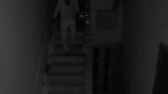 International burglar Liudas Valiusaitis is caught on camera.