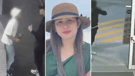 Vietnamese crime gangs