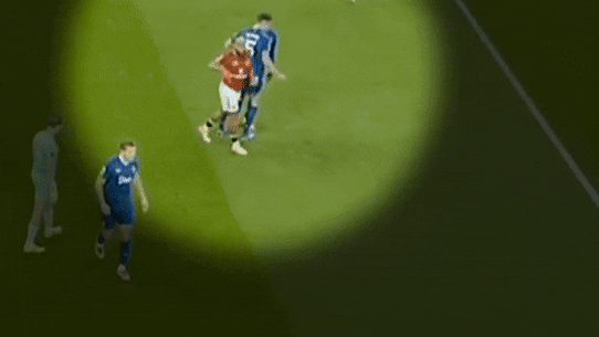 Everton players fight.