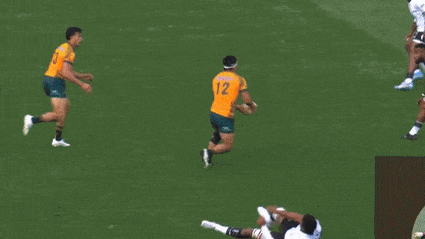 Wallabies.