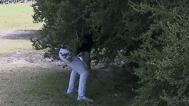 Rory McIlroy’s air swing.