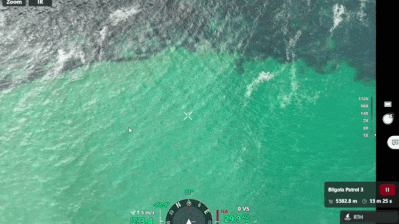 ‘Loitering in the shallows’: Winter shark surveillance led to hundreds of beach evacuations