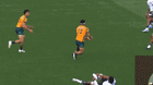 Wallabies.