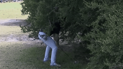 ‘I can’t remember the last time I had one’: McIlroy shows he is human with swing and miss