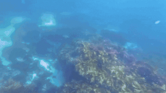 Perth diver describes moment he realised his boat had gone missing