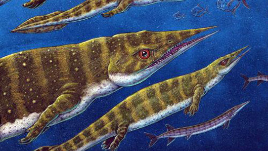 An artist’s depiction of Gunakadeit joseeae, a sharp-nosed thalattosaur.