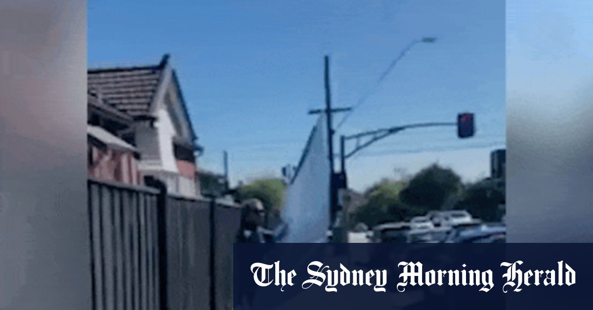 Monique Ryan, husband apologise after he is filmed removing Liberal sign