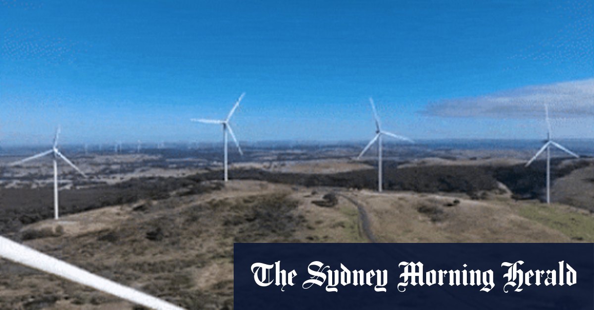 Labor’s victory has locked in an ingredient vital to supplying super cheap ...