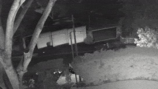 The blaze was contained by 50 firefighters over the course of two hours.