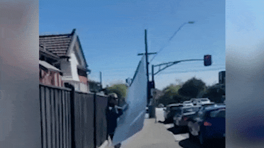 Monique Ryan’s husband Peter Jordan is seen in video footage removing a sign supporting her Liberal rival Amelia Hamer.