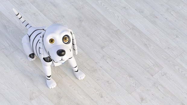 Robotic pets are expected to yield the same health benefits for seniors as a live, more demanding animal. 