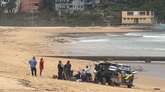 Man critical after Manly shark attack; third Sydney attack in two days