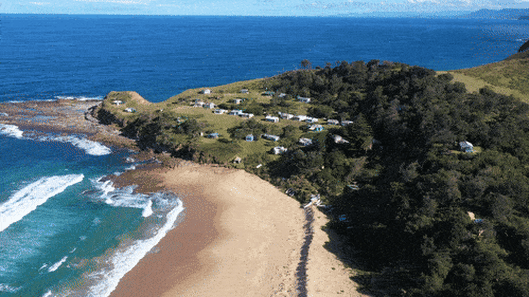 Ray of hope for beach shack owners in the Royal National Park