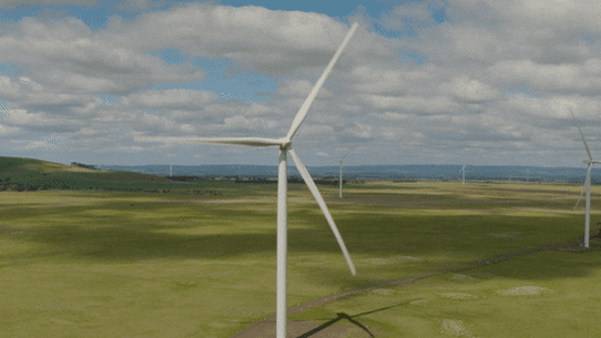 Wind farm approvals have slumped in NSW.