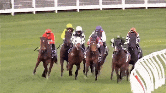 Ben Melham’s horse shifted, giving wife rails run to victory. Now stewards are investigating betting sheets