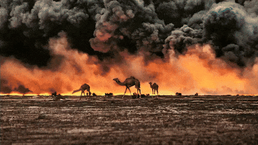 Why this veteran photographer still believes in the power of the image
