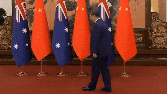 Anthony Albanese meets Chinese President Xi Jinping in Beijing on Tuesday.